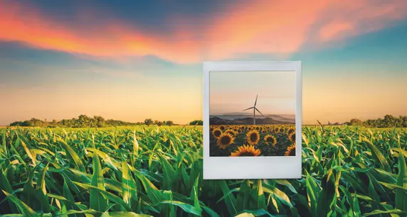 Finanziamenti della linea "Impatto Zero"