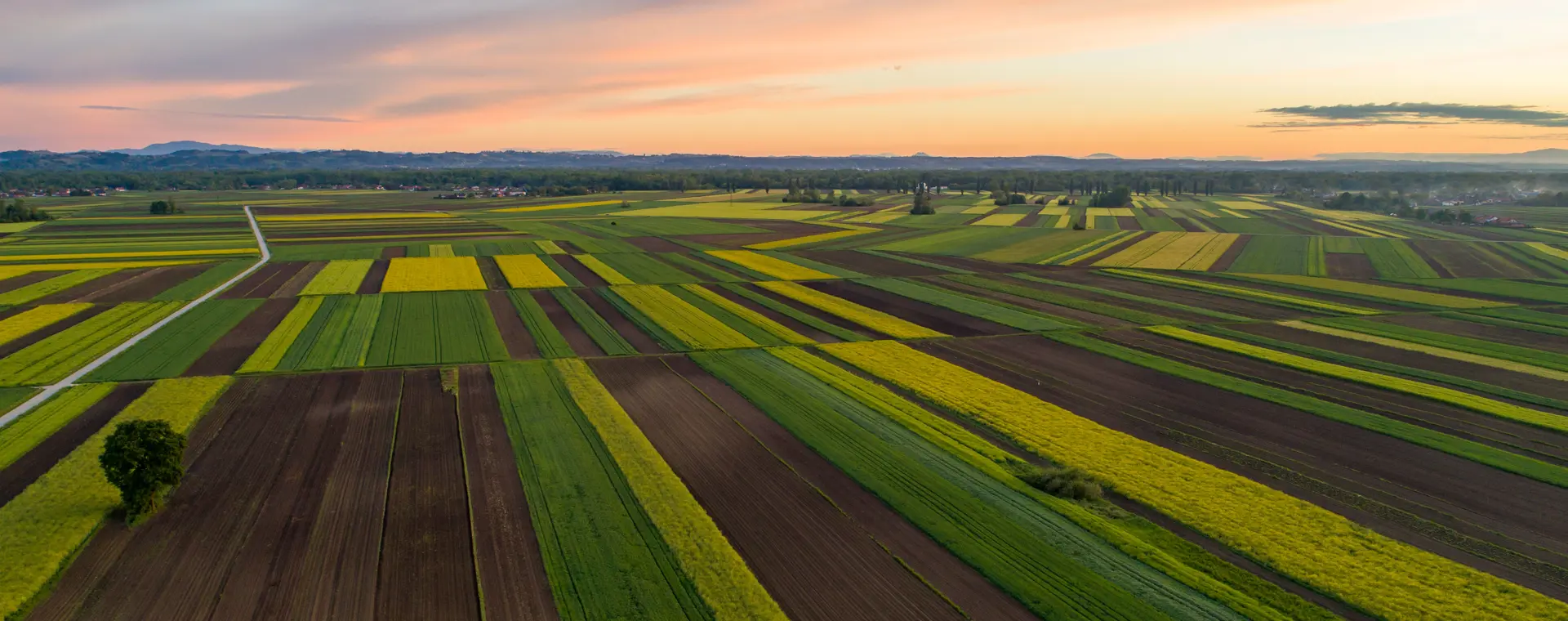 Scopri la nuova sezione Agribusiness : insieme per le sfide del f