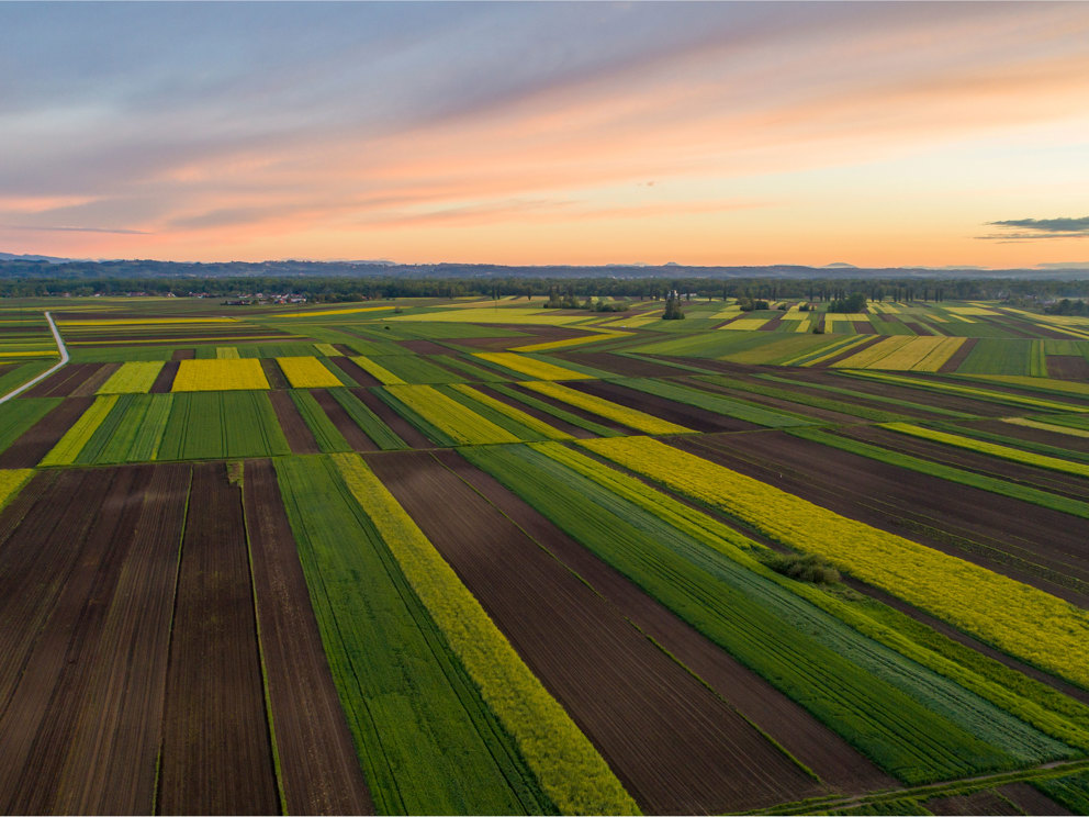 Agribusiness : soluzioni a 360 gradi